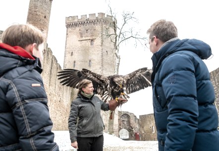 Adler- und Wolfspark Kasselburg, © Eifel Tourismus GmbH, Dominik Ketz Adler- und Wolfspark Kasselburg, © Eifel Tourismus GmbH, Dominik Ketz