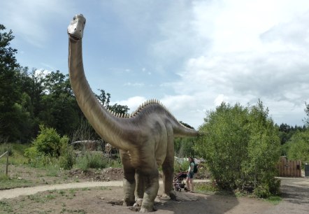 Dinosaurierpark Teufelsschlucht - Diplodocus, © Dinosaurierpark Teufelsschlucht Dinosaurierpark Teufelsschlucht - Diplodocus, © Dinosaurierpark Teufelsschlucht