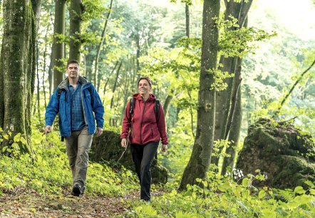 Randonnée, © Eifel Tourismus GmbH, Dominik Ketz Randonnée, © Eifel Tourismus GmbH, Dominik Ketz