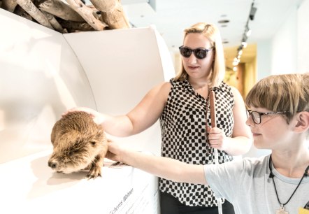 Eine Frau mit Blindenstock und ein Kind ertasten das lebensgroße Modell eines Bibers., © Nationalpark Eifel, D. Ketz Eine Frau mit Blindenstock und ein Kind ertasten das lebensgroße Modell eines Bibers., © Nationalpark Eifel, D. Ketz