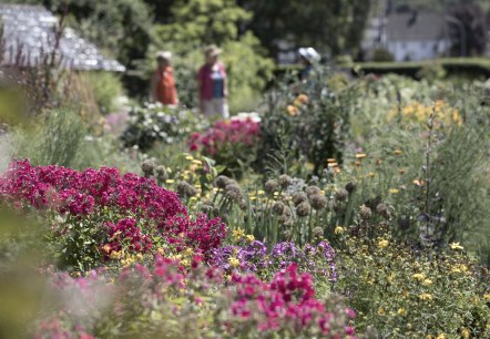 Symbolbild Garten, © Ralph Sondermann Symbolbild Garten, © Ralph Sondermann