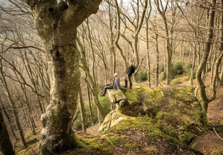 Rugged rocks, © Eifel Tourismus GmbH, D. Ketz Rugged rocks, © Eifel Tourismus GmbH, D. Ketz