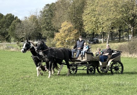 Kutschfahrt, © Heinz Schend Kutschfahrt, © Heinz Schend