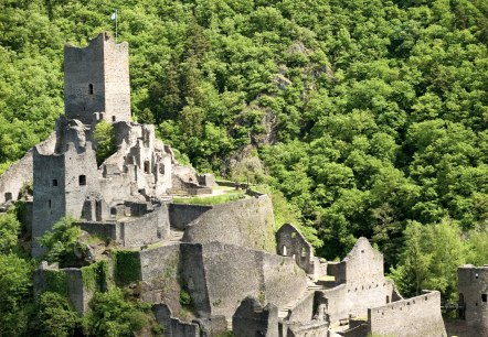 Hiking trail Manderscheider Burgenstieg: Niederburg Castle, © Rheinland-Pfalz Tourismus GmbH - D. Ketz Hiking trail Manderscheider Burgenstieg: Niederburg Castle, © Rheinland-Pfalz Tourismus GmbH - D. Ketz