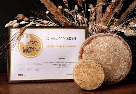 Gouden kaas Gouden kaas