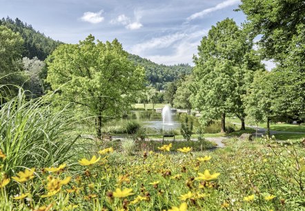 Kurpark im Herbst, © Rheinland-Pfalz Tourismus GmbH/F. Trykowski Kurpark im Herbst, © Rheinland-Pfalz Tourismus GmbH/F. Trykowski