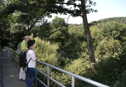 Blick ins Tal der Kleinen Kyll, © GesundLand Vulkaneifel GmbH Blick ins Tal der Kleinen Kyll, © GesundLand Vulkaneifel GmbH