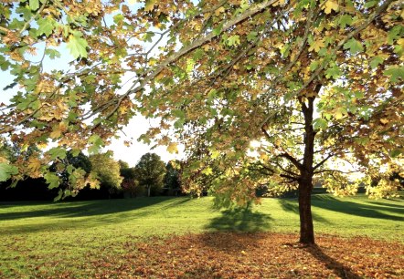 Stadspark, © Werner Pelm Stadspark, © Werner Pelm
