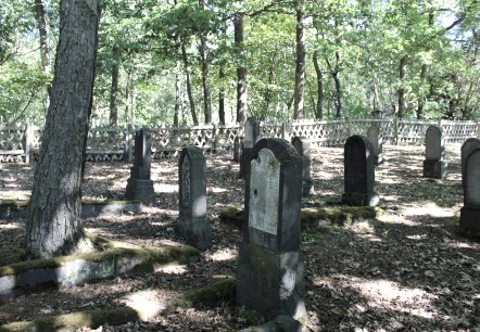 Jüdischer Friedhof, © VG Pellenz/Manea Jüdischer Friedhof, © VG Pellenz/Manea