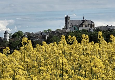 Blühende Rapsfelder rund um Münstermaifeld Blühende Rapsfelder rund um Münstermaifeld