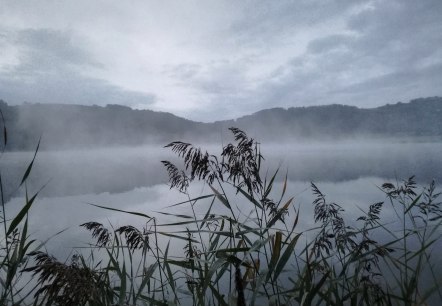 Meerfelder Maar im Nebel, © Gesundland Vulkaneifel GmbH Meerfelder Maar im Nebel, © Gesundland Vulkaneifel GmbH