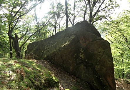 Hübsche Begleiter entlang des Wegesrandes, © Karl-Heinz Rosenzweig, Der-eifelyeti.de, © Der-eifelyeti.de Hübsche Begleiter entlang des Wegesrandes, © Karl-Heinz Rosenzweig, Der-eifelyeti.de, © Der-eifelyeti.de
