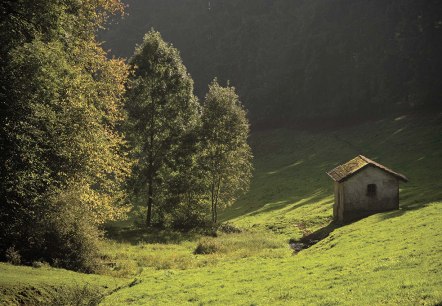 Nat'Our Route 6 - Forêt de chambres, © Naturpark Südeifel, P. Haas Nat'Our Route 6 - Forêt de chambres, © Naturpark Südeifel, P. Haas