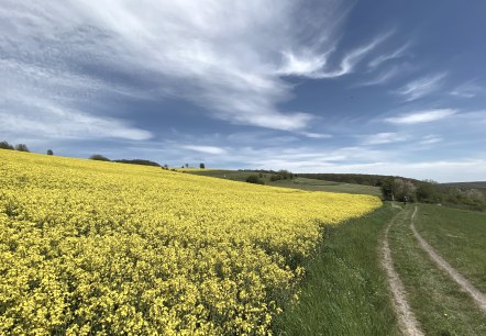 Eifellandschaft Niederdürenbach, © Christof Bürger Eifellandschaft Niederdürenbach, © Christof Bürger