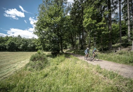 Freifahrt Eifel_Waldpassage Nonnenbach © Eifel Tourismus GmbH, DennisStratmann-04330, © Dennis Stratmann | Eifel Tourismus GmbH Freifahrt Eifel_Waldpassage Nonnenbach © Eifel Tourismus GmbH, DennisStratmann-04330, © Dennis Stratmann | Eifel Tourismus GmbH