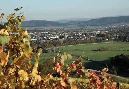Uitzicht op Wittlich en de regio Wittlicher Land, © Tourist-Information Wittlich Stadt & Land Uitzicht op Wittlich en de regio Wittlicher Land, © Tourist-Information Wittlich Stadt & Land