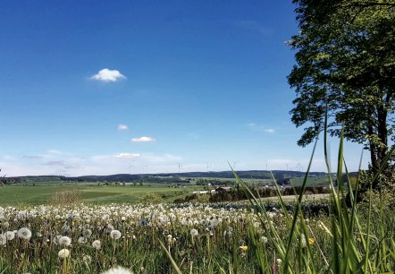 Panoramablick Olzheim, © Tourist-Information Prümer Land Panoramablick Olzheim, © Tourist-Information Prümer Land