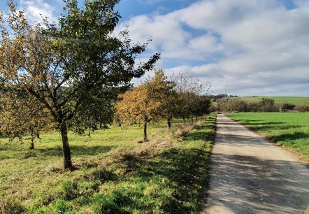 Un chemin rural traverse un paysage automnal d'arbres et d'herbe verte sous un ciel bleu parsemé de nuages., © TI Bitburger Land Un chemin rural traverse un paysage automnal d'arbres et d'herbe verte sous un ciel bleu parsemé de nuages., © TI Bitburger Land