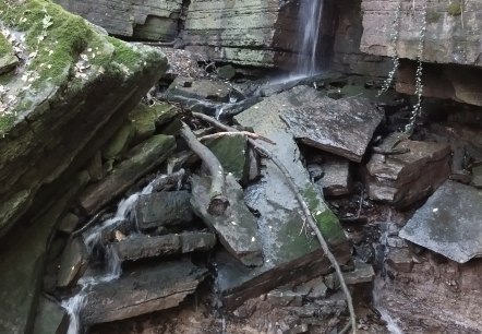 Une petite cascade s'écoule sur des rochers recouverts de mousse dans une zone boisée. Le sol est recouvert de feuilles et de branches., © TI Bitburger Land Une petite cascade s'écoule sur des rochers recouverts de mousse dans une zone boisée. Le sol est recouvert de feuilles et de branches., © TI Bitburger Land