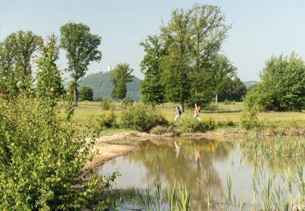 Wandern am Rodder Maar, Burg Olbrück im Hintergrund, © Eifel Tourismus GmbH, D. Ketz Wandern am Rodder Maar, Burg Olbrück im Hintergrund, © Eifel Tourismus GmbH, D. Ketz