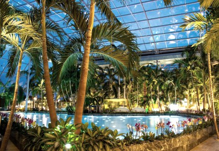 Therme Euskirchen, Baden unter Palmen am Abend, © Therme Euskirchen Therme Euskirchen, Baden unter Palmen am Abend, © Therme Euskirchen