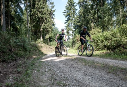 Conducteur de VTT, © Kreis Düren - Freifahrt Eifel Conducteur de VTT, © Kreis Düren - Freifahrt Eifel