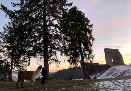 Glühweinwanderung zur Burgruine Schönecken Glühweinwanderung zur Burgruine Schönecken