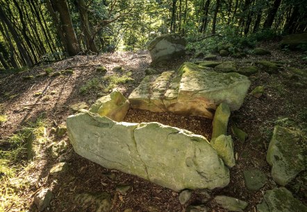 Tombe en pierre près de Schankweiler, © Eifel Tourismus GmbH, D. Ketz Tombe en pierre près de Schankweiler, © Eifel Tourismus GmbH, D. Ketz