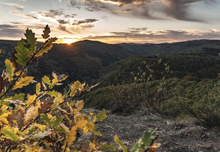 Sonnenuntergang am Nitzblick, © Laura Rinneburger Sonnenuntergang am Nitzblick, © Laura Rinneburger