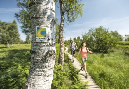 Wanderweg Eifelsteig: Auf der Wandertour durch die Eifel geht es auch auf Stegen durch die Struffelt Heide., © Eifel Tourismus GmbH - D. Ketz Wanderweg Eifelsteig: Auf der Wandertour durch die Eifel geht es auch auf Stegen durch die Struffelt Heide., © Eifel Tourismus GmbH - D. Ketz