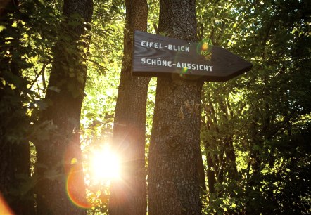 Sur le chemin de la Schönen Aussicht, © Tourismus NRW e.V. Sur le chemin de la Schönen Aussicht, © Tourismus NRW e.V.