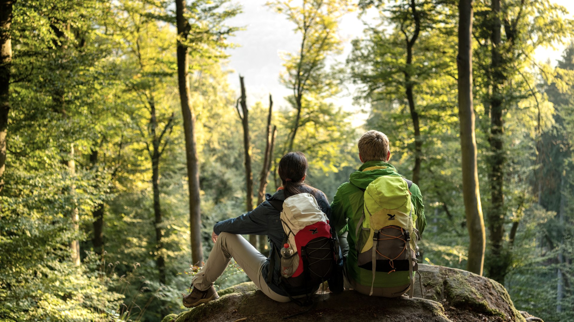 Herbst im NaturWanderPark delux, © Eifel Tourismus GmbH, D. Ketz Herbst im NaturWanderPark delux, © Eifel Tourismus GmbH, D. Ketz