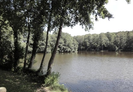 Steinbachtalsperre Waldsee Steinbachtalsperre Waldsee