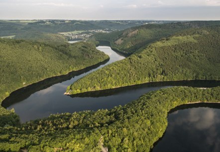 Le circuit de randonnée "Wasserlandroute" longe toujours l'eau, © Eifel Tourismus GmbH/D. Ketz Le circuit de randonnée "Wasserlandroute" longe toujours l'eau, © Eifel Tourismus GmbH/D. Ketz
