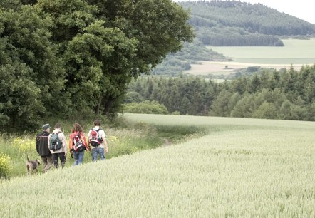 kuerrenberg-kh-1, © Stadt Mayen kuerrenberg-kh-1, © Stadt Mayen