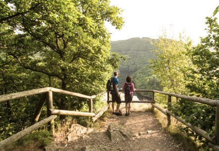 Uitzicht op de Urft-stuwdam, © Eifel Tourismus GmbH, D. Ketz Uitzicht op de Urft-stuwdam, © Eifel Tourismus GmbH, D. Ketz