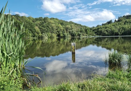 Das Immerather Maar im Sommer Das Immerather Maar im Sommer