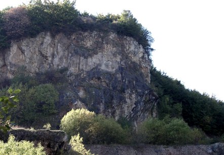 Vignoble (1), © Schmitz Vignoble (1), © Schmitz