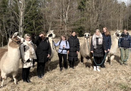 Junggesellinnenabschied mit Lamas: Herbstwanderung Junggesellinnenabschied mit Lamas: Herbstwanderung