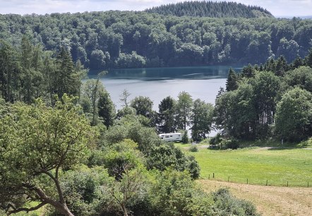 Vue sur le Pulvermaar Vue sur le Pulvermaar