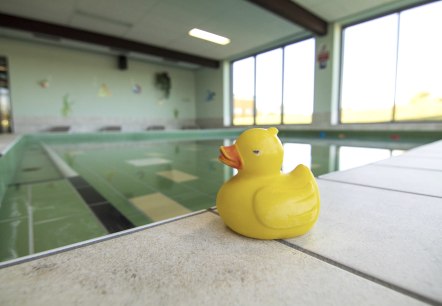 Canard de bain bassin de natation, © Gemeinde Simmerath Canard de bain bassin de natation, © Gemeinde Simmerath