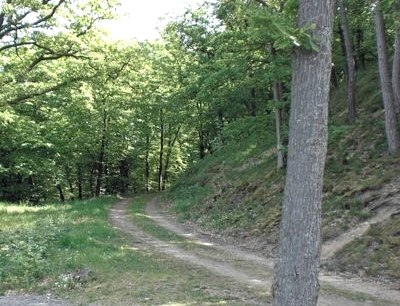 oberer-hillertweg, © Stadt Mayen oberer-hillertweg, © Stadt Mayen