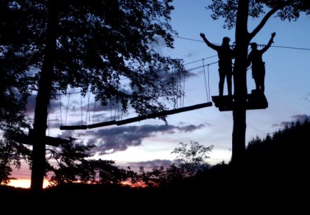 Ziplining by NIGHT DELUXE, EifelAdventures in Berlingen - Vulkaneifel
Hängebrücke Nr. 1 Ziplining by NIGHT DELUXE, EifelAdventures in Berlingen - Vulkaneifel
Hängebrücke Nr. 1