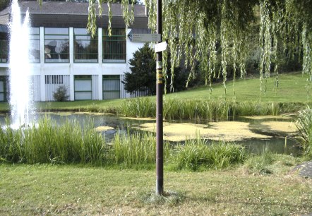 Wasserfontäne im Kurpark, © GesundLand Vulkaneifel Wasserfontäne im Kurpark, © GesundLand Vulkaneifel