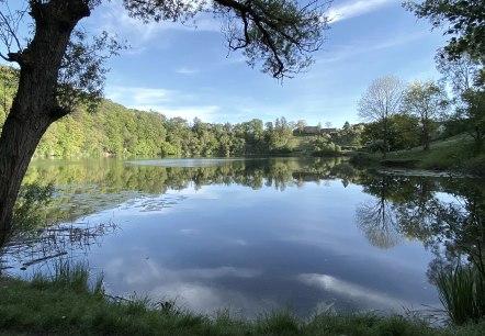 Blick auf das Ulmener Maar, © GesundLand Vulkaneifel GmbH, Carina Wagner Blick auf das Ulmener Maar, © GesundLand Vulkaneifel GmbH, Carina Wagner