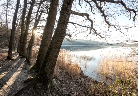 Atmospheric moments at Lake Laach, © Eifel Tourismus GmbH, D. Ketz Atmospheric moments at Lake Laach, © Eifel Tourismus GmbH, D. Ketz