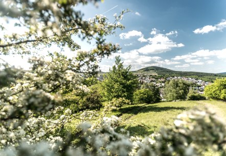 Ausblick auf Ettringen, © Rheinland-Pfalz Tourismus GmbH, D. Ketz Ausblick auf Ettringen, © Rheinland-Pfalz Tourismus GmbH, D. Ketz