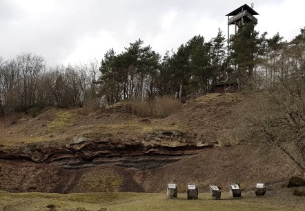 Kraterwand mit Blick auf den Booser Eifelturm, © Svenja Schulze-Entrup Kraterwand mit Blick auf den Booser Eifelturm, © Svenja Schulze-Entrup