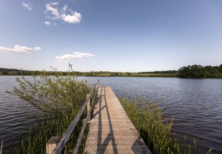 Steg am Jungferweiher Steg am Jungferweiher