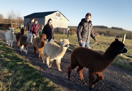 En randonnée avec des alpagas, © Familie Kelleners En randonnée avec des alpagas, © Familie Kelleners